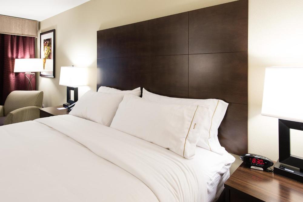 Standard King Room with Mobility Accessible Tub interior